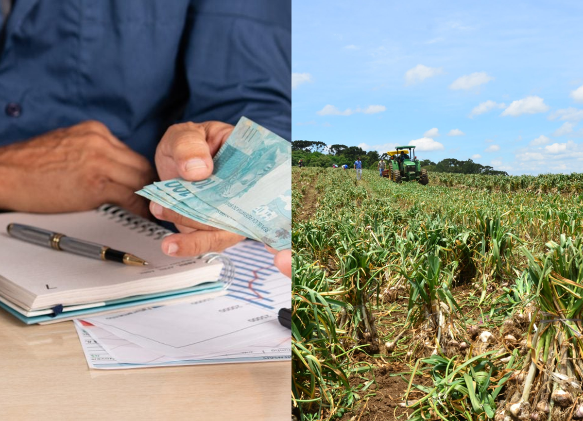 Justiça de Minas Gerais suspende exigibilidade de cédulas rurais de produtor de alho contra cooperativa de crédito