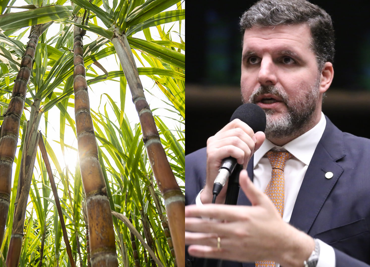 Com apoio da FPA, Congresso aprova subvenção a canavieiros do Nordeste e linhas de financiamento