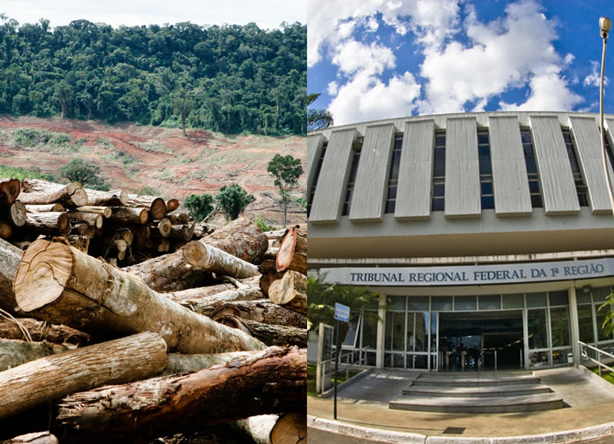 TRF1 mantém multa de R$ 455 mil suspensa por demora do órgão ambiental