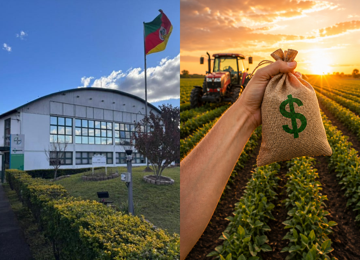 Com dívidas de R$ 198 milhões, grupo Inagro tem recuperação judicial admitida