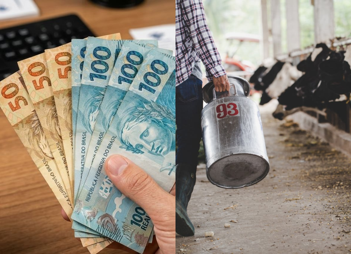 Banco é impedido de executar e negativar produtor após suspensão de duas cédulas de crédito rural