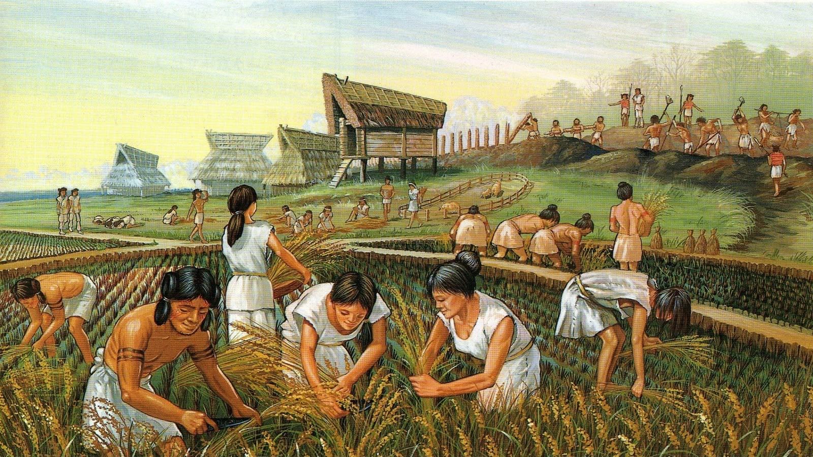 A agricultura sob o prisma teológico: lutar com a terra e não contra a terra, dela cuidando, é ser sábio