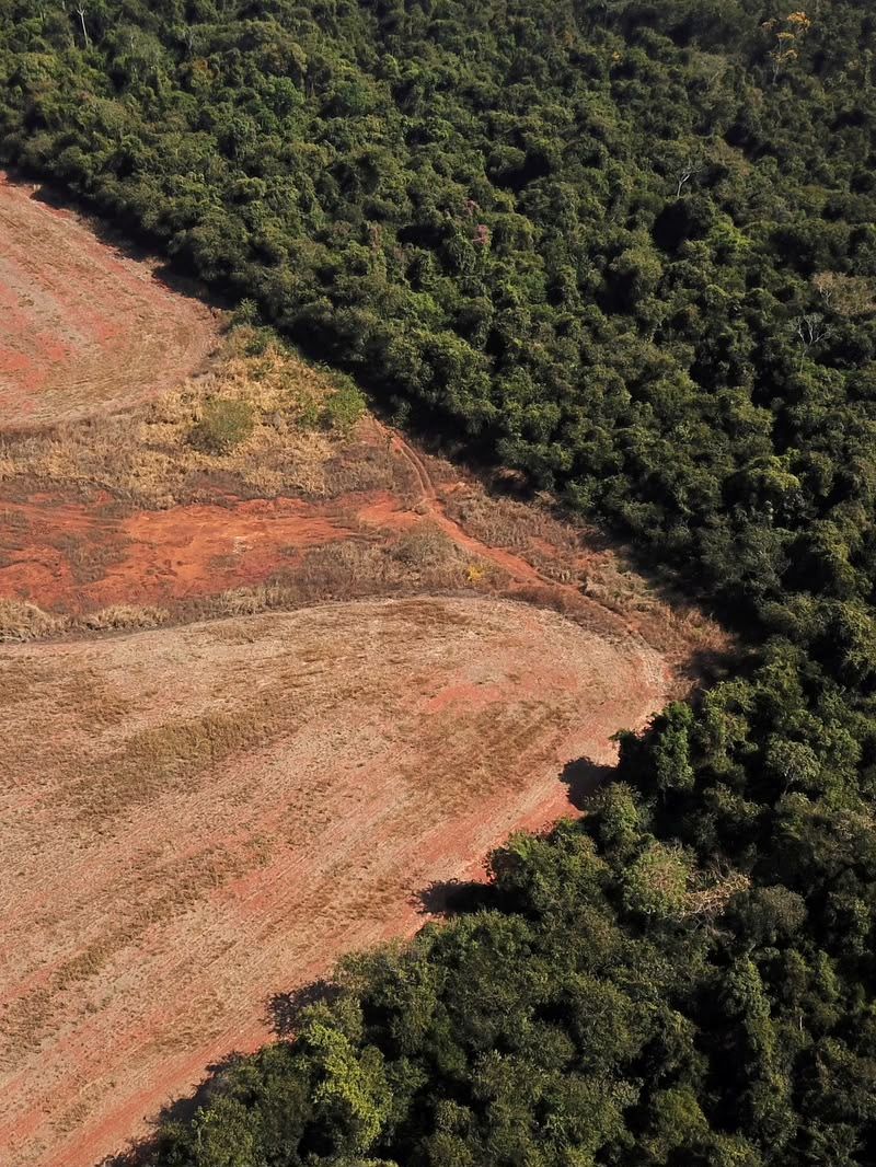 Compensação de Reserva Legal em Mato Grosso: avanços regulatórios e os desafios de uma regularização que ainda precisa funcionar na prática 