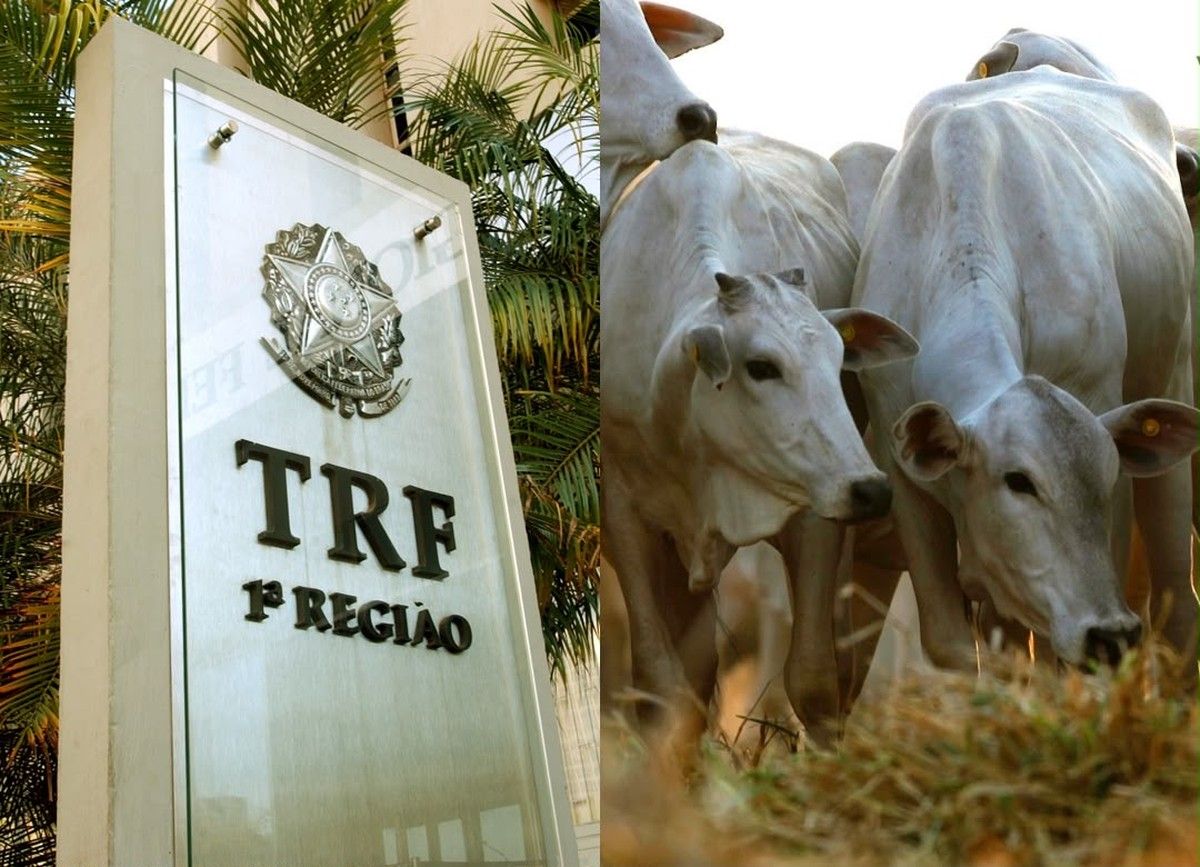 TRF1 suspende cobrança de cédula rural do PRONAMP após CEF propor juros de 22,90%