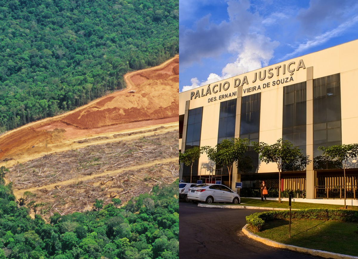 TJMT fixa indenização por desmatamento em reserva legal