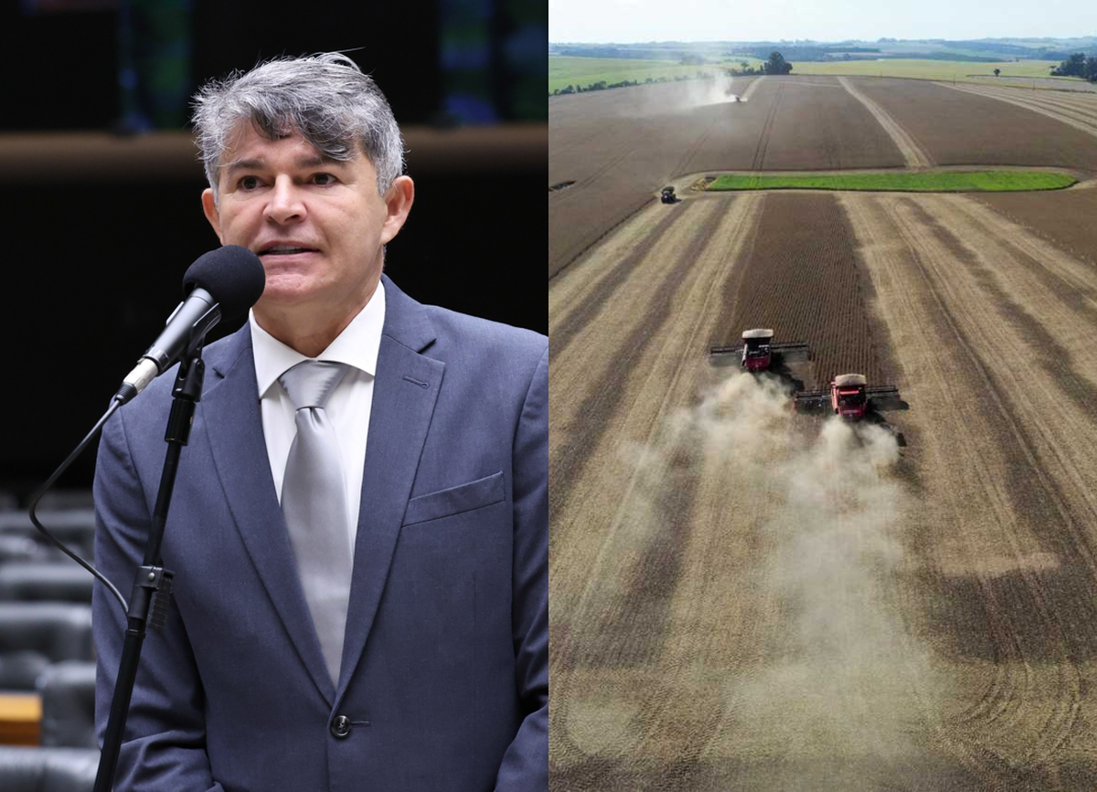 Projeto prevê proteção da safra na recuperação judicial rural