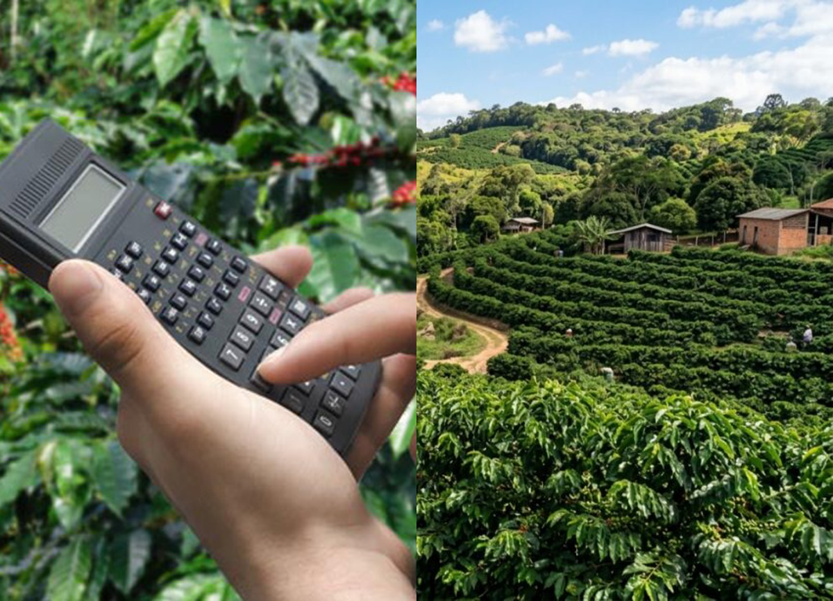 Justiça do Paraná suspende consolidação fiduciária de imóvel rural de cafeicultores