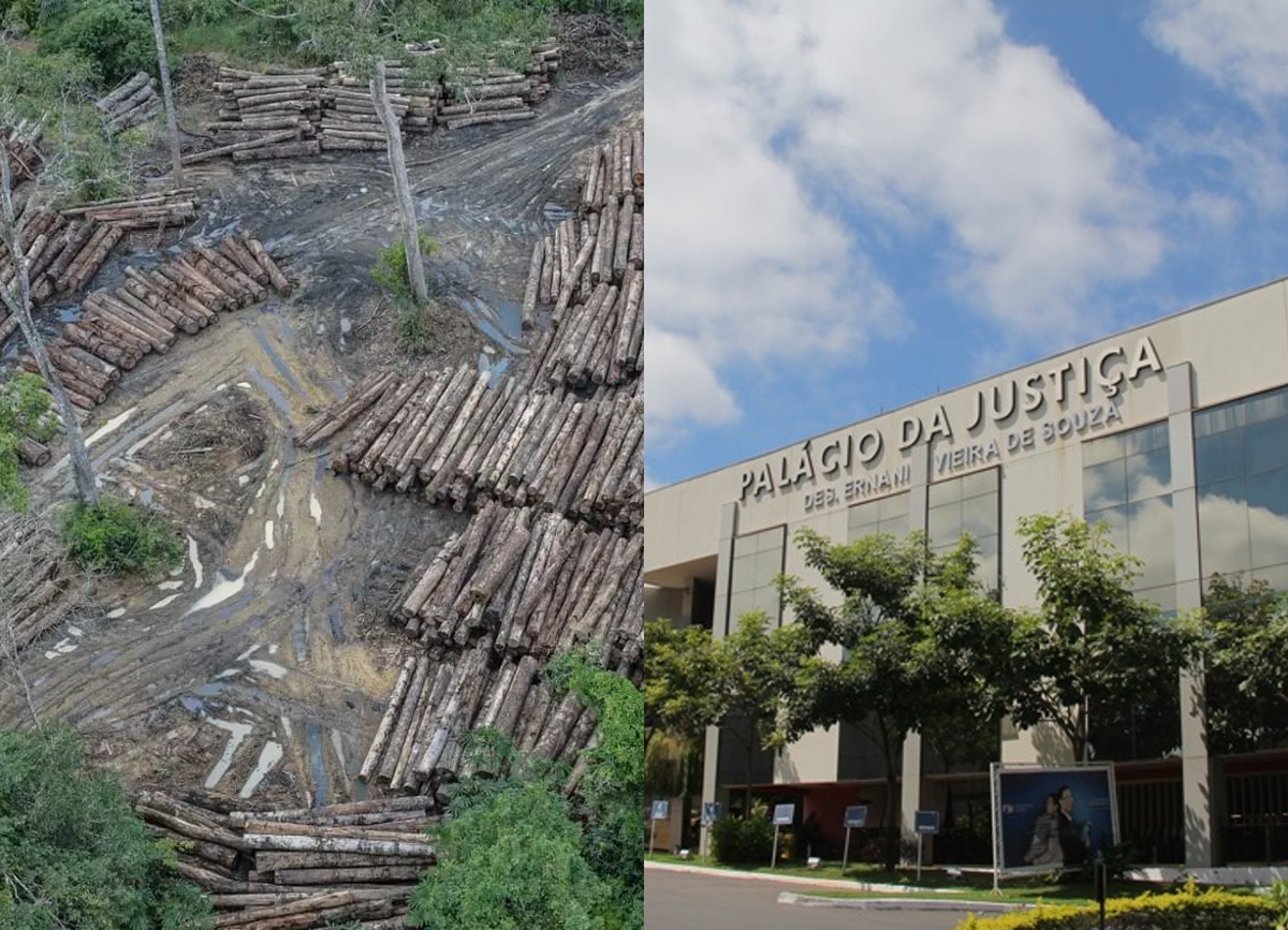 TJMT realiza mutirão ambiental para destravar processos