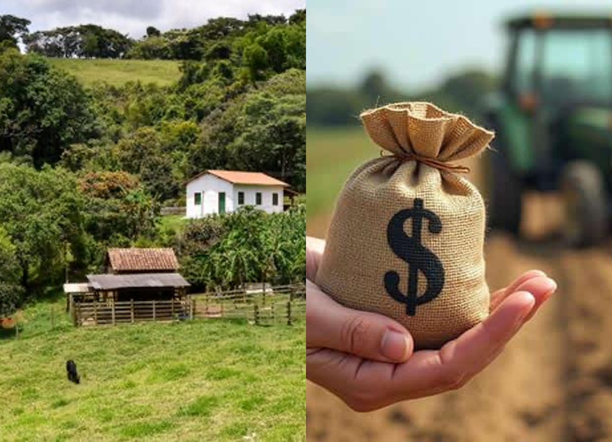Imóvel rural em caução e embargos assinados às 23h59min levam juiz a suspender execução de R$ 6,7 milhões 