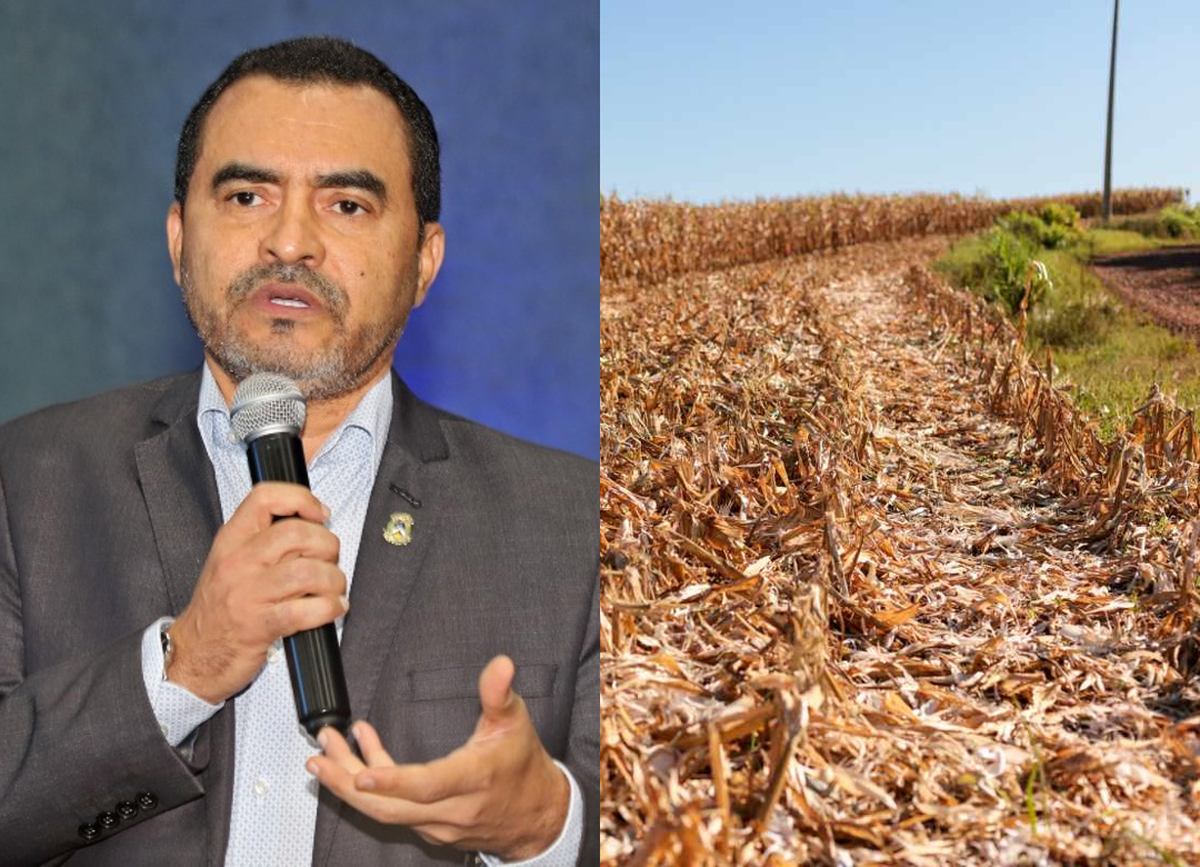 Decreto do Tocantins reconhece impactos climáticos, mas a decisão sobre renegociação fica com as instituições responsáveis