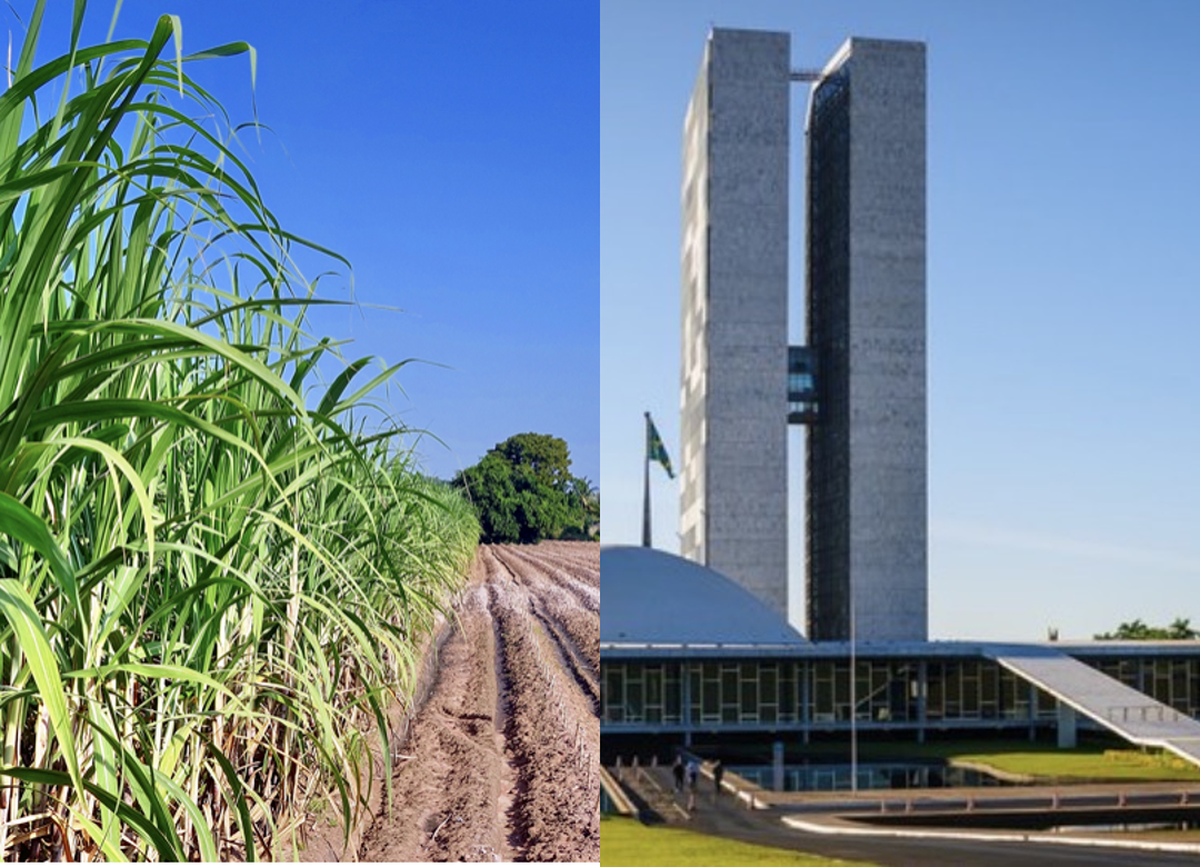 Subvenção de R$ 12 por tonelada para produtores de cana do Nordeste vai à sanção