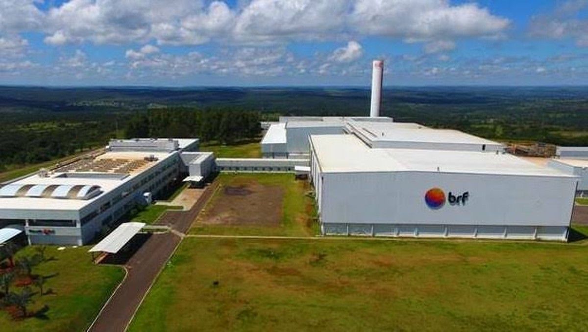 Avicultores de Mineiros/GO integrados à BRF anunciam paralisação das operações