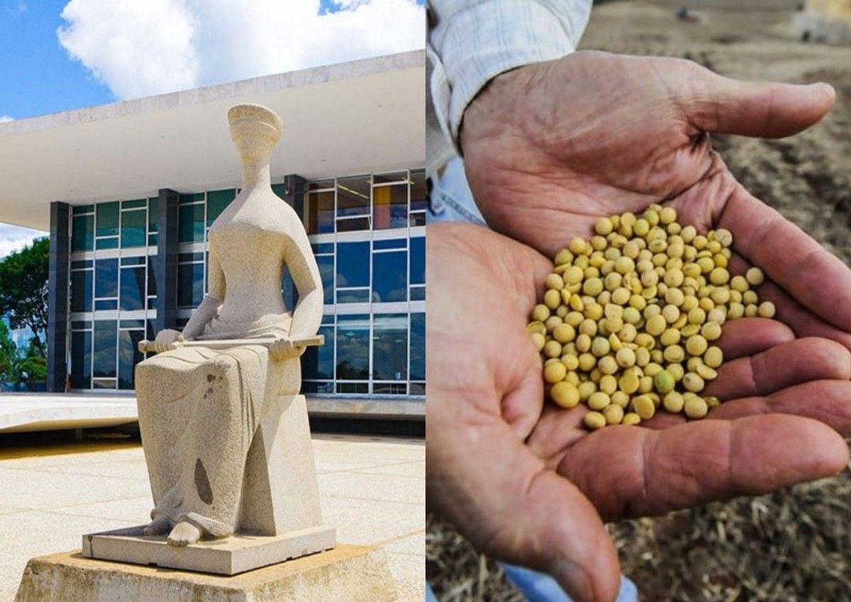 STF suspende julgamento sobre Moratória da Soja e envia ao Núcleo de Solução Consensual