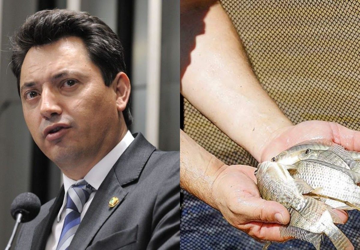 Senado pode analisar PL 4.162/2024 que equipara aquicultor a produtor rural