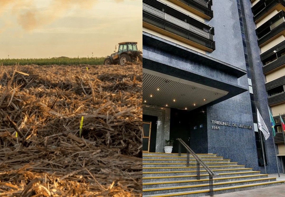 Justiça do RS suspende cobrança de dívida rural e impede busca e apreensão de colhedora após frustração de safra