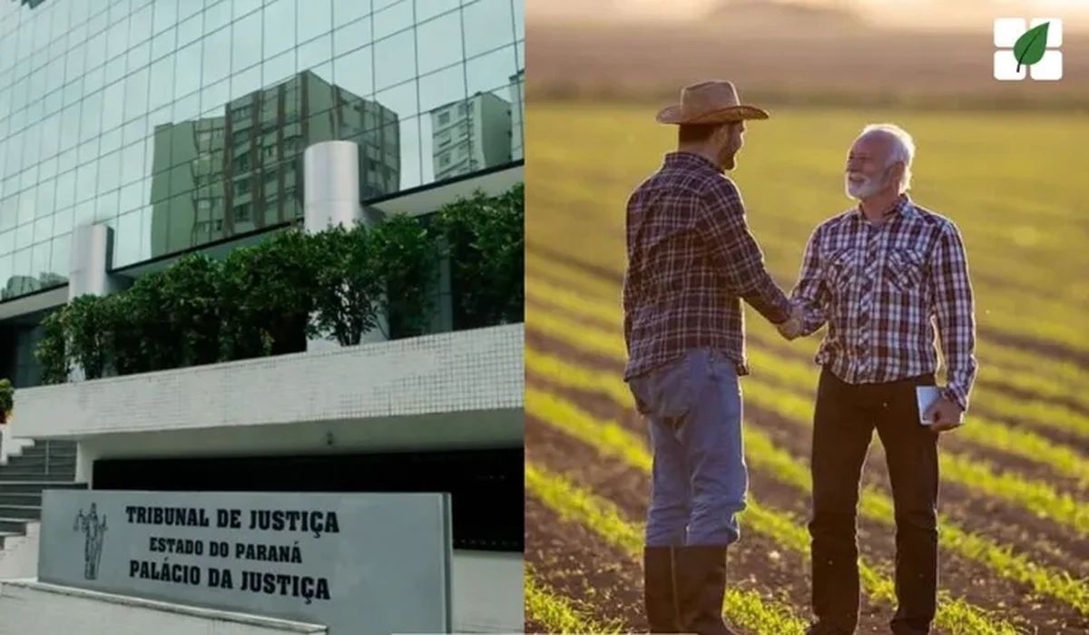 TJ-PR mantém renovação automática de arrendamento rural por falta de notificação de retomada no prazo de seis meses