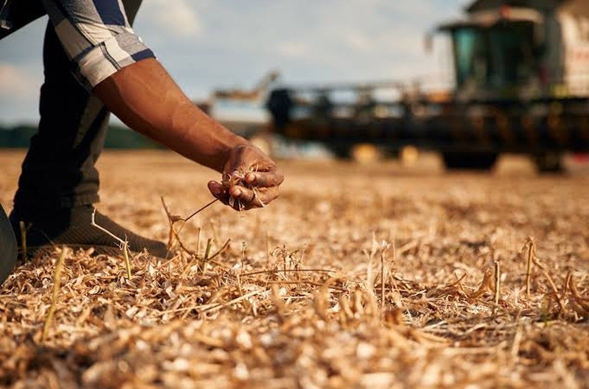 Juíza suspende cobrança de dívida rural após frustração de safra em Goiás