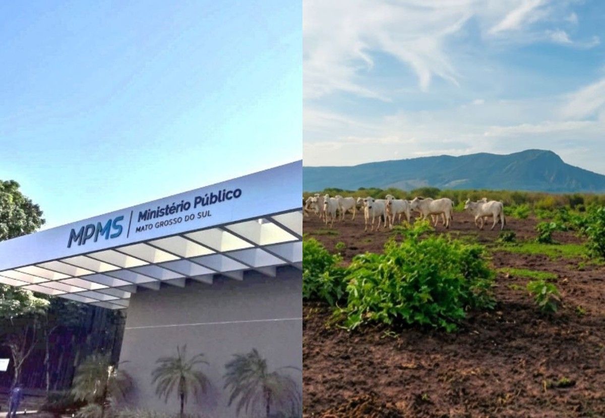 MPMS instaura inquérito a partir de informações do Ibama para aprofundar suposta supressão de vegetação nativa no Pantanal