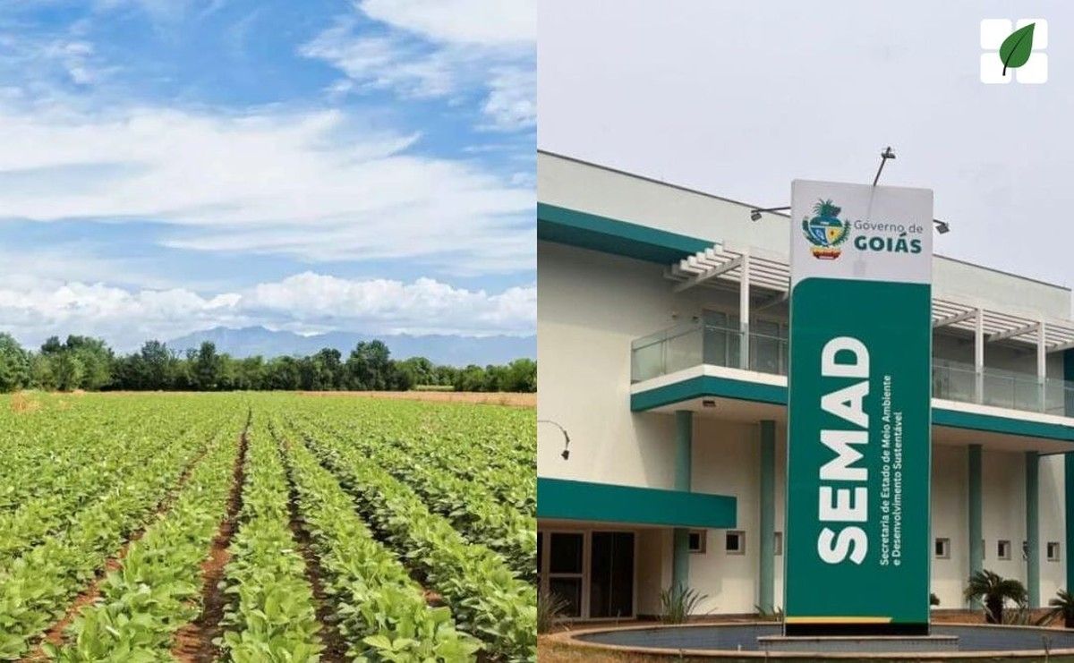 Goiás amplia prazo para regularização ambiental de atividades rurais com desconto