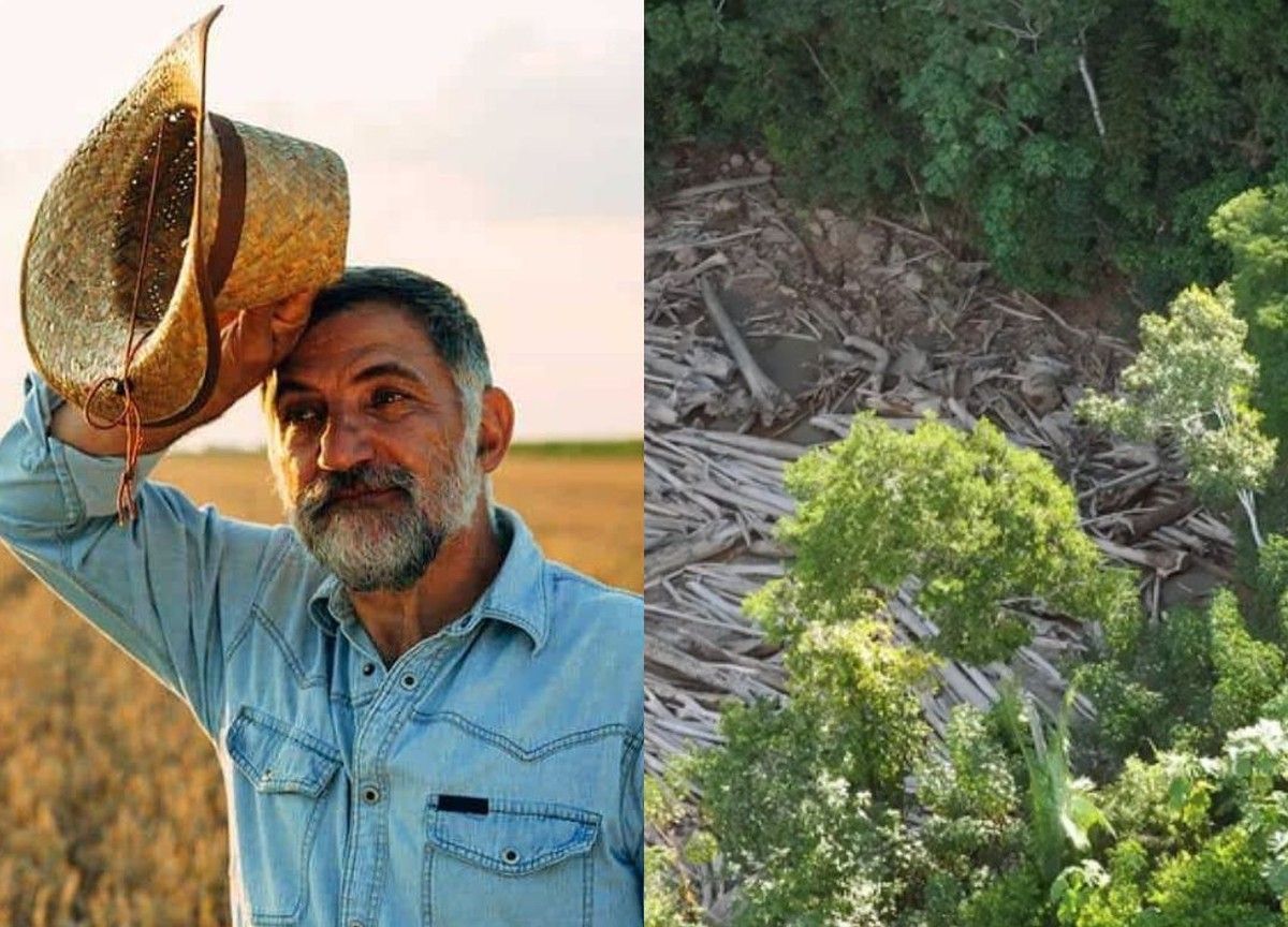 Justiça Federal condena proprietário rural por desmatamento de 171 hectares na Amazônia Legal