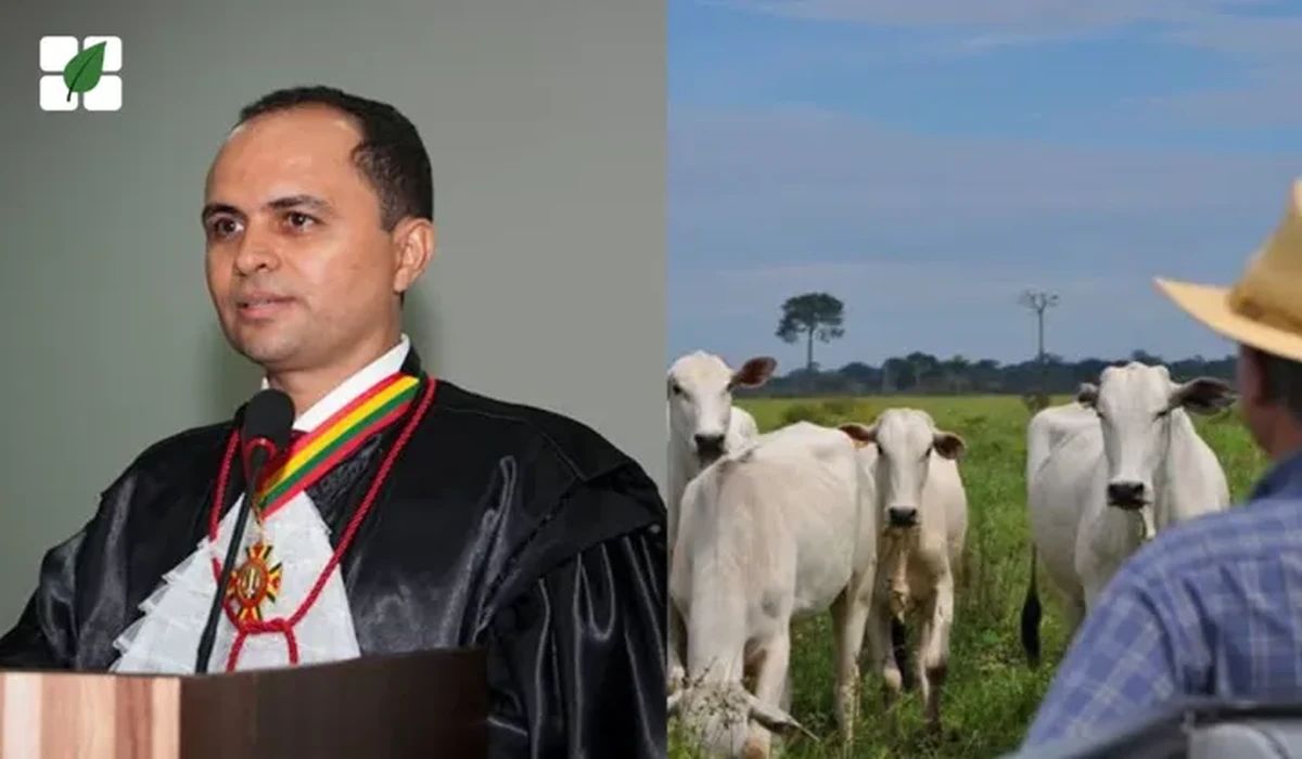 TJ-AC suspende cobrança de dívida rural e garante fôlego a pecuarista em crise