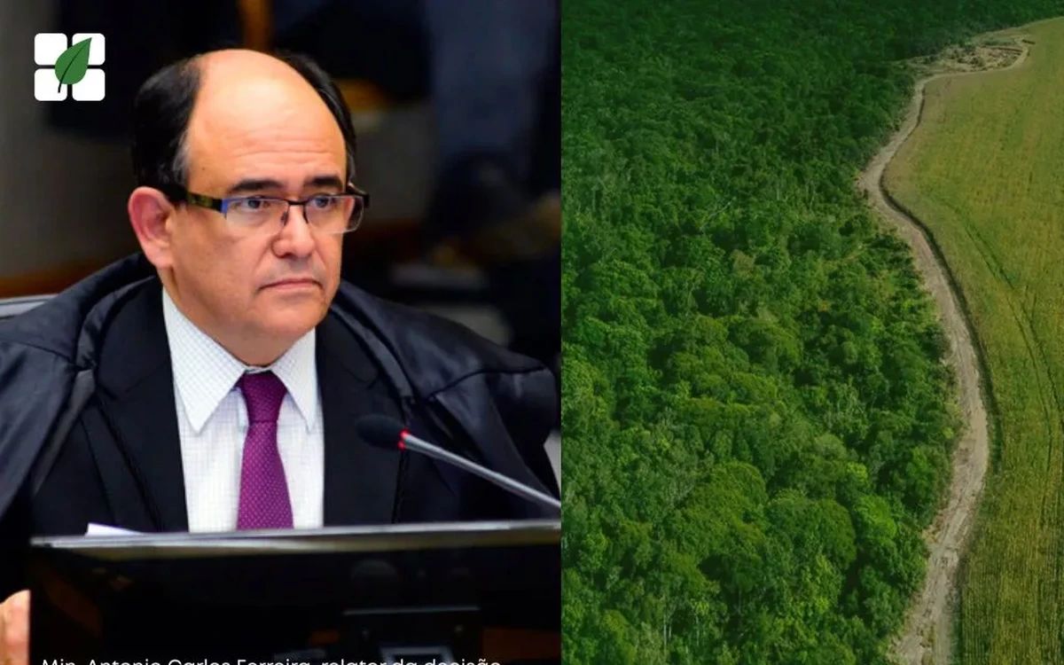 STJ: Reserva legal e APP não contam para extensão de imóvel rural