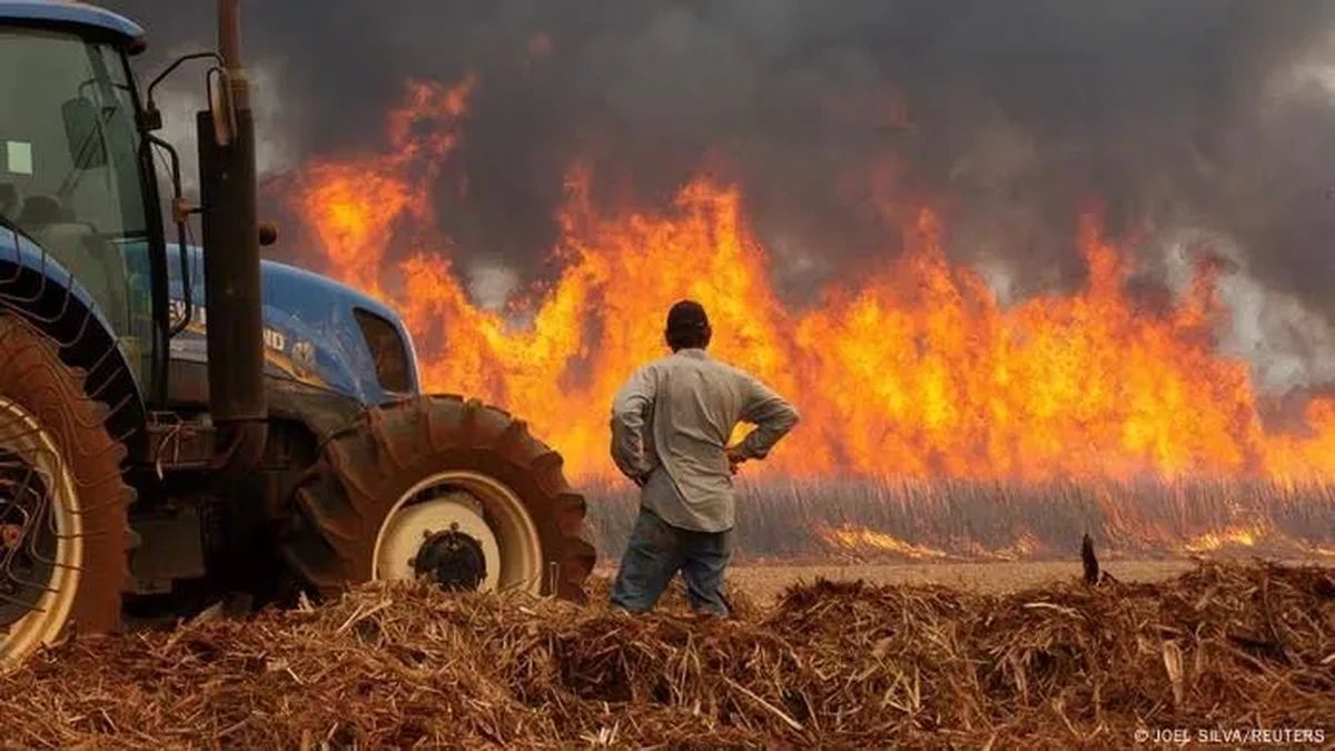STF pode desapropriar 95 propriedades rurais em MS por incêndios ilegais