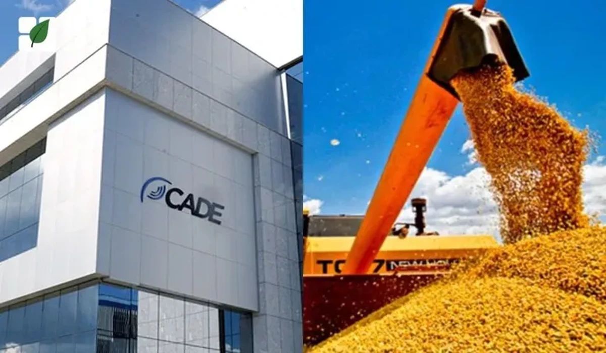 CADE suspende a Moratória da Soja e instaura processo contra trading