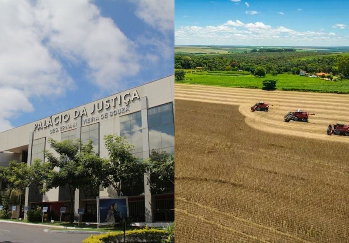 TJMT determina reintegração de posse em fazenda ocupada de forma clandestina, com esbulho e prática de crimes ambientais