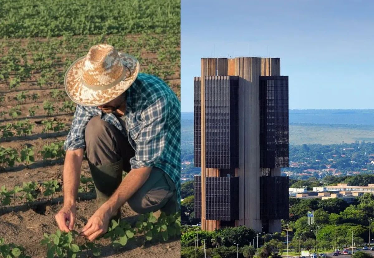 Pequenos produtores atendidos pelo Proagro reclamam de restrições no acesso ao programa