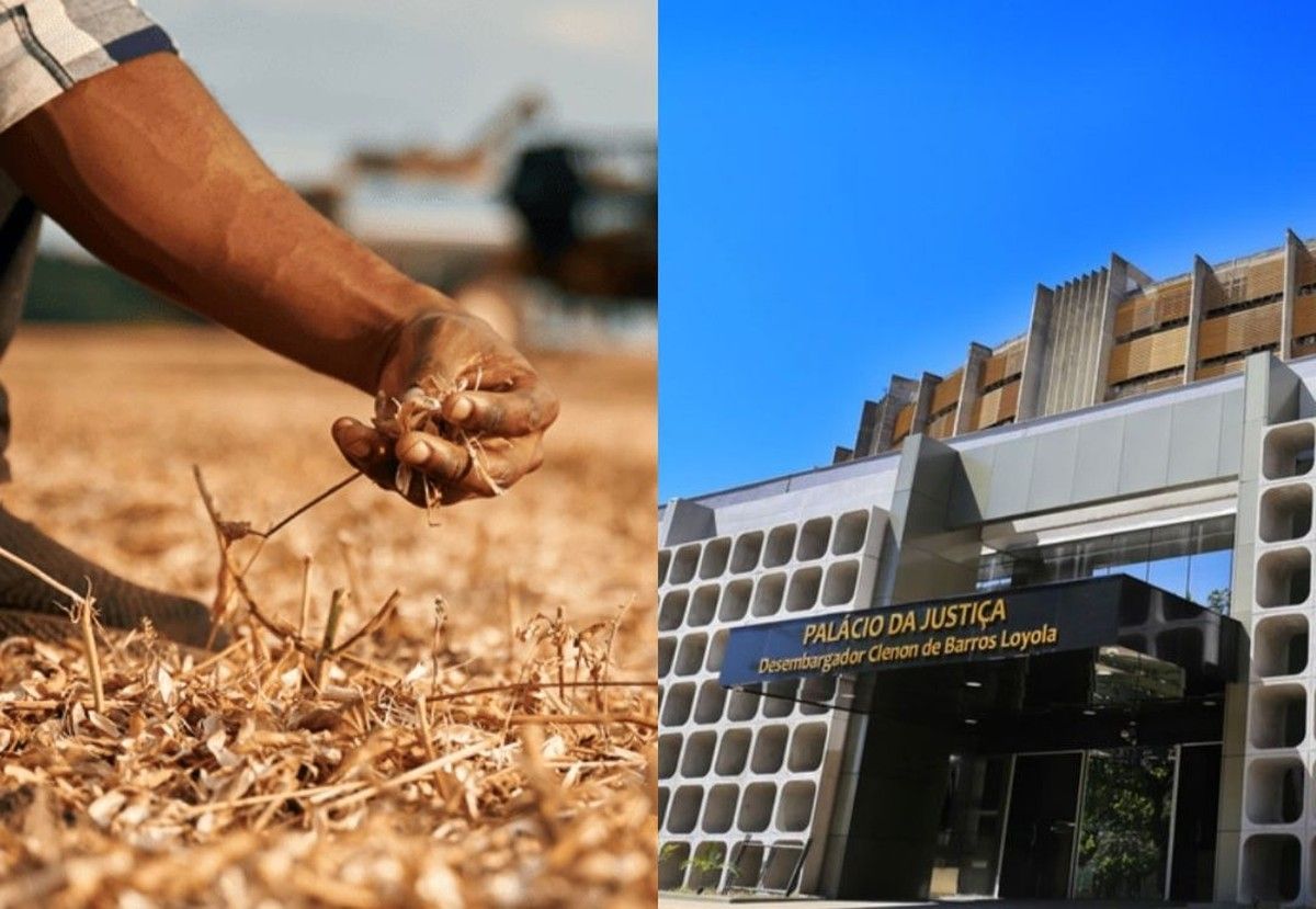 TJGO determina restituição por banco e suspende dívida rural após frustração de safra