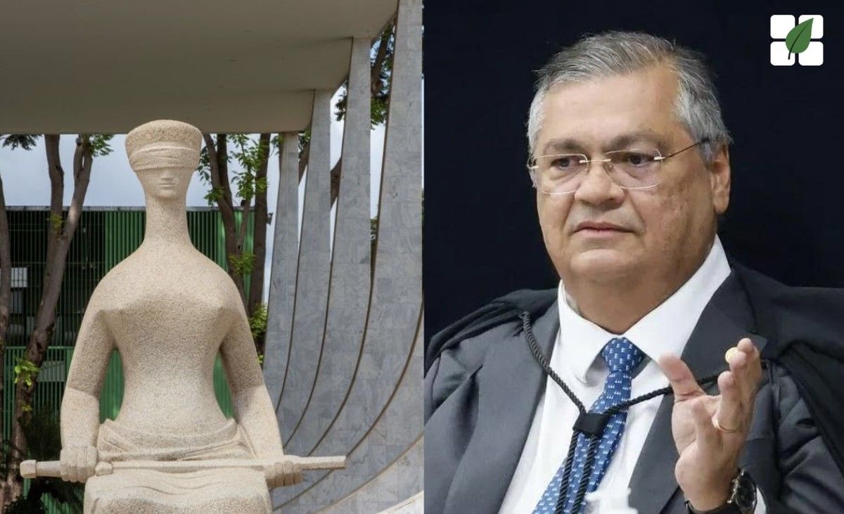 Por voto de Flávio Dino, STF reafirma que empresas estatais não se submetem ao regime de falência
