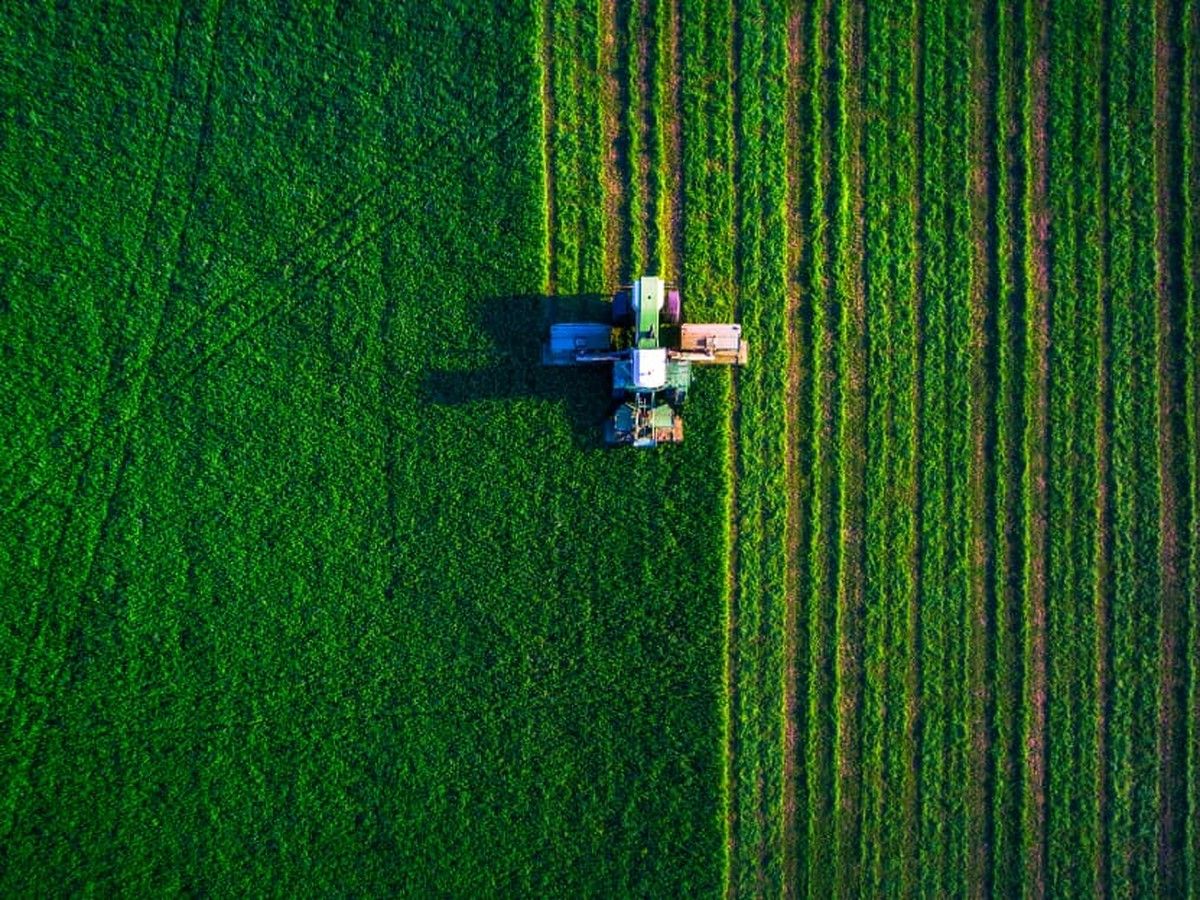 Governo reduz seguro rural sem aviso prévio e tensiona relação com o agro
