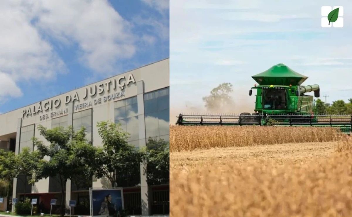 TJMT manteve decisão que autoriza DIP Financing a Grupo em recuperação judicial