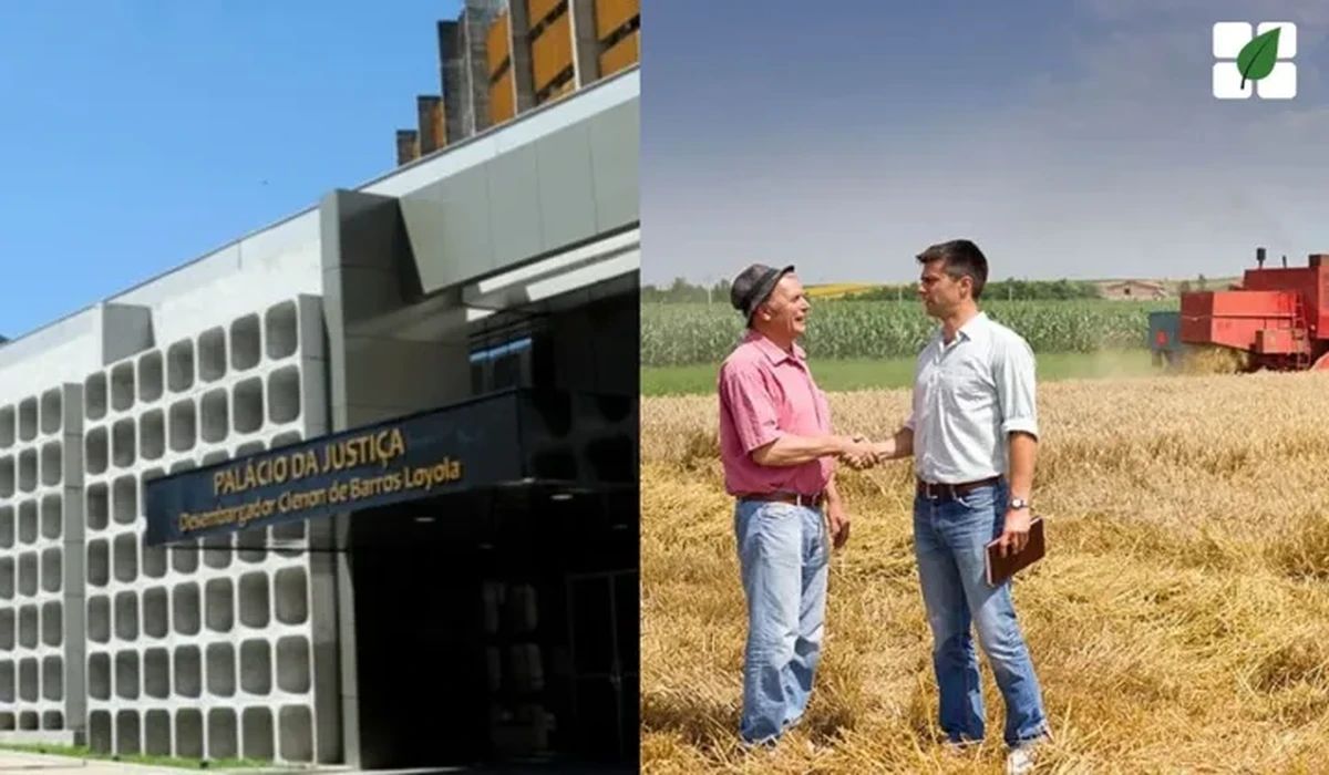 TJGO reconhece natureza extraconcursal de crédito com reserva de domínio em recuperação judicial