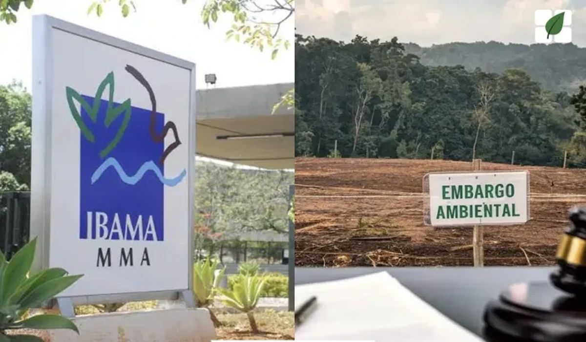 Nova IN do IBAMA exige regularidade ambiental integral da propriedade para desembargo de áreas