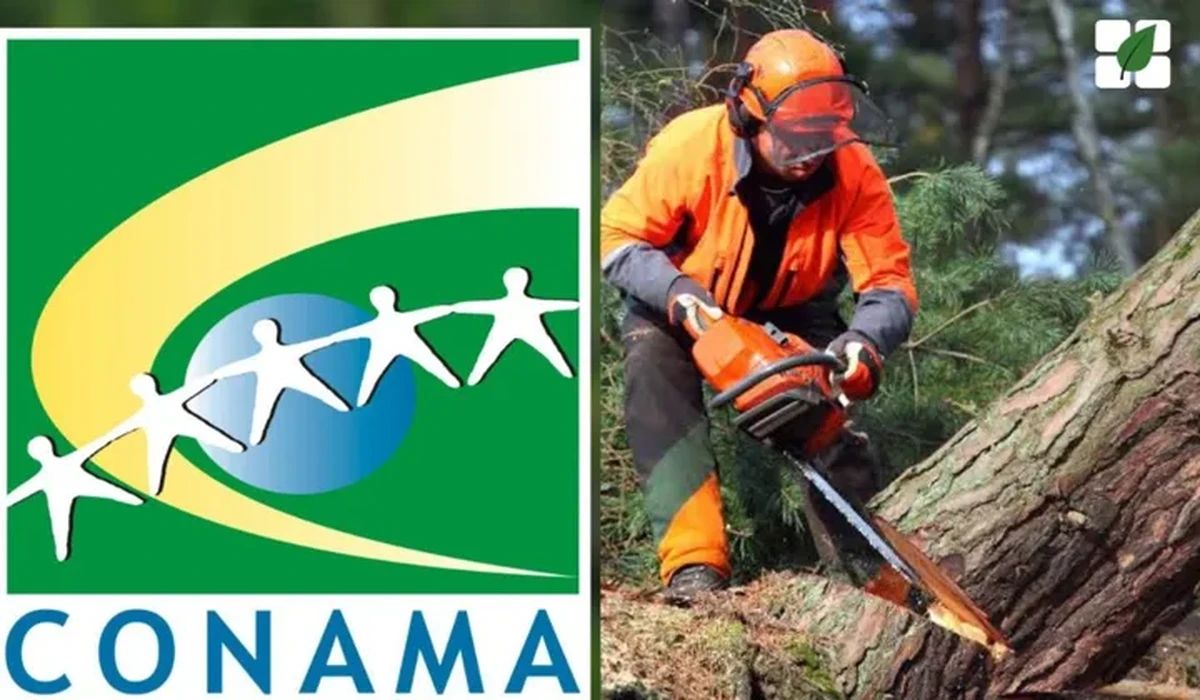 Resolução Conama 510/2025 padroniza emissão de Autorizações de Supressão de Vegetação Nativa (ASV)