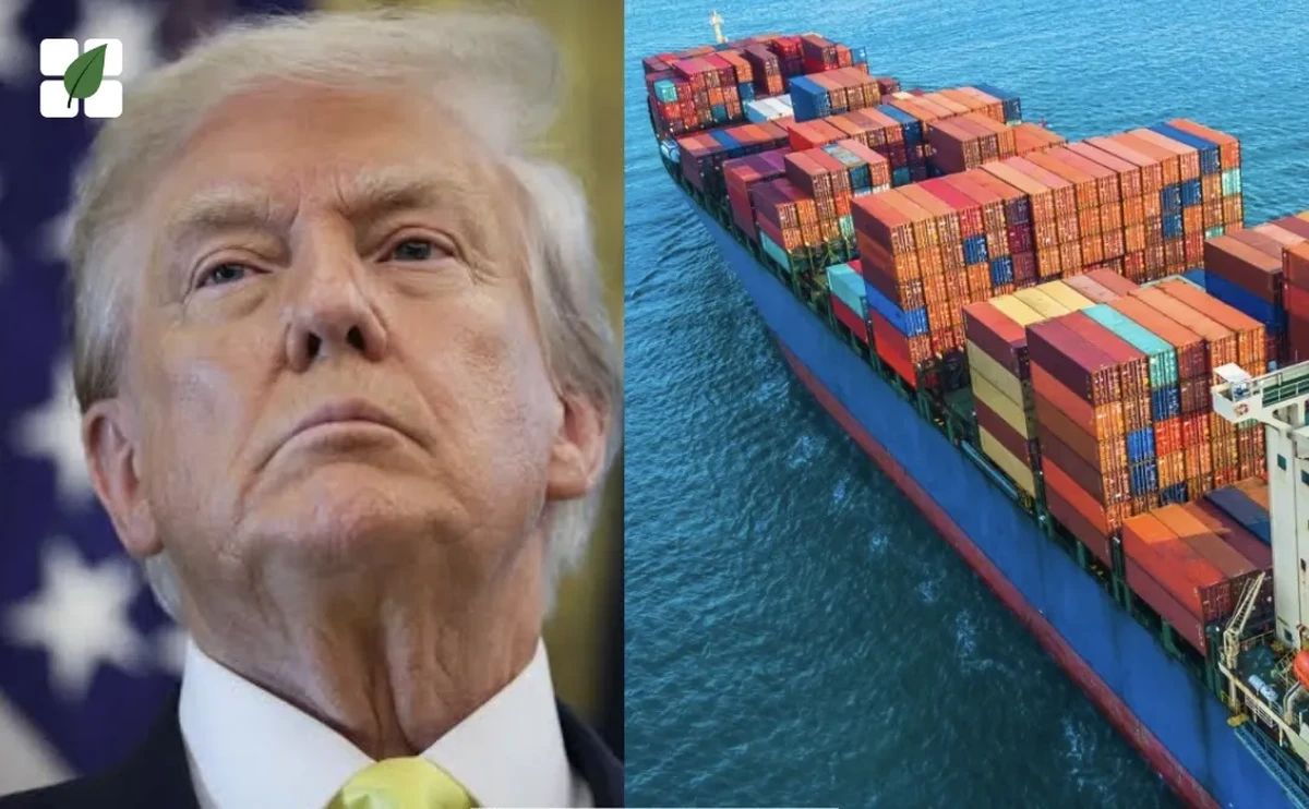 Trump quer quadruplicar exportação de soja dos EUA para China: ameaça ao agronegócio brasileiro?