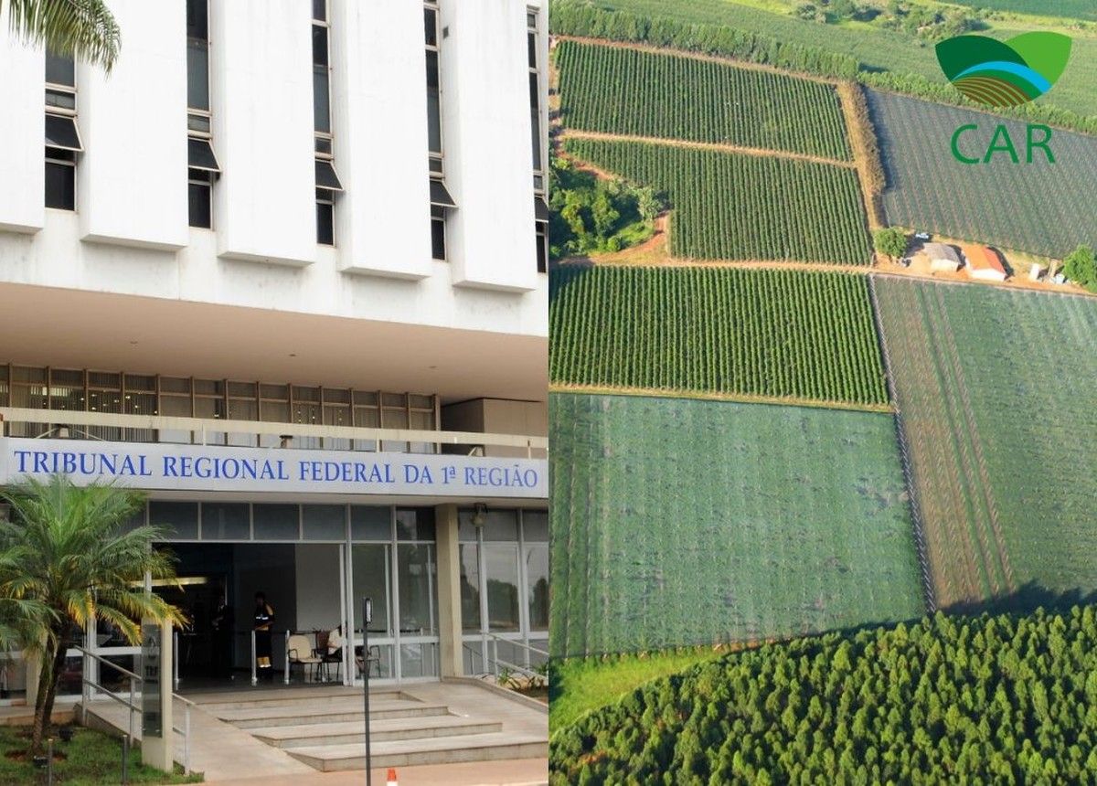 TRF1 suspende embargo do IBAMA por instabilidade sistêmica de CAR em Goiás