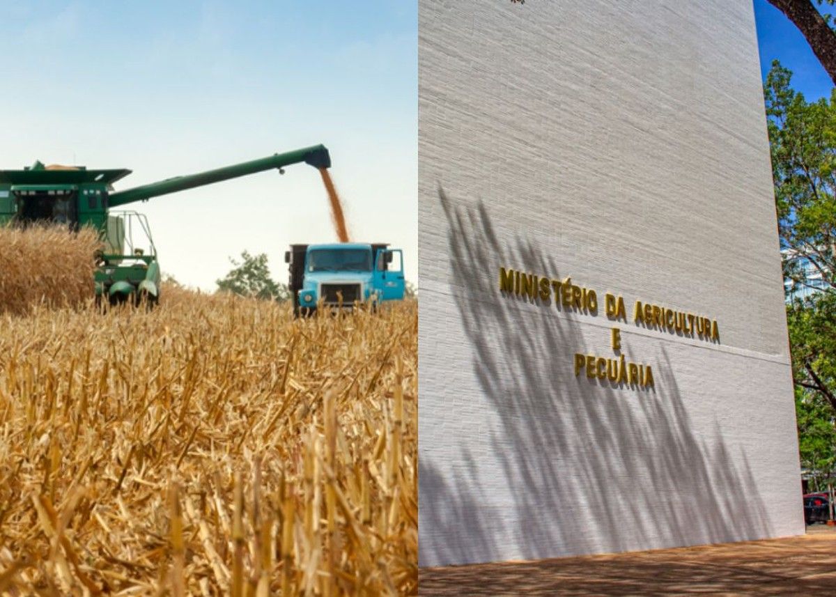 MAPA divulga desempenho dos títulos e fundos privados do agro em fevereiro de 2026