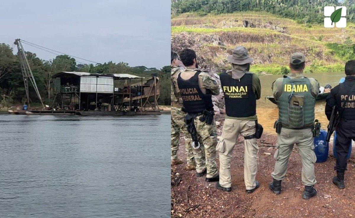 Operação em MT e PA apreende R$ 36 milhões em equipamentos de garimpo ilegal em terra indígena