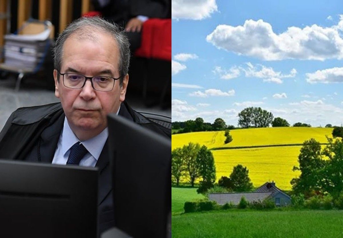 STJ nega direito de preferência a arrendatários que não exploram terra de forma direta e familiar