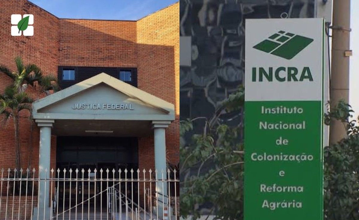 Justiça Federal determina devolução de título de terra a agricultora no Paraná