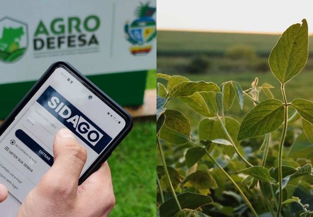 Produtores de Goiás tem até 17 de janeiro para regularizar cadastro de lavouras de soja no Sidago