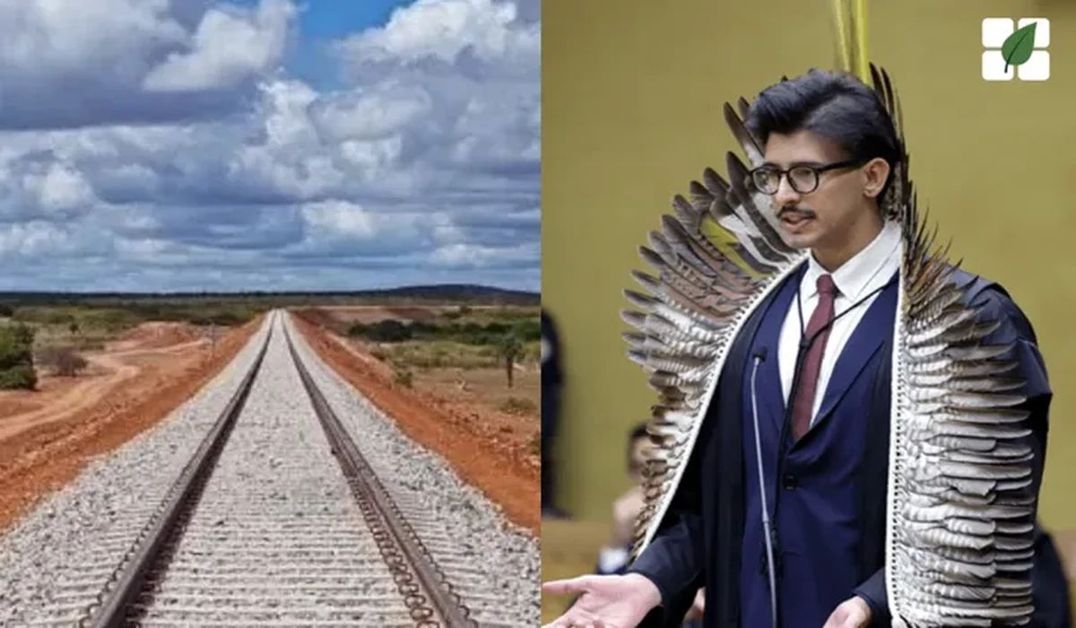 STF analisa Lei que redefine limites do Parque Jamanxim para viabilizar o Ferrogrão