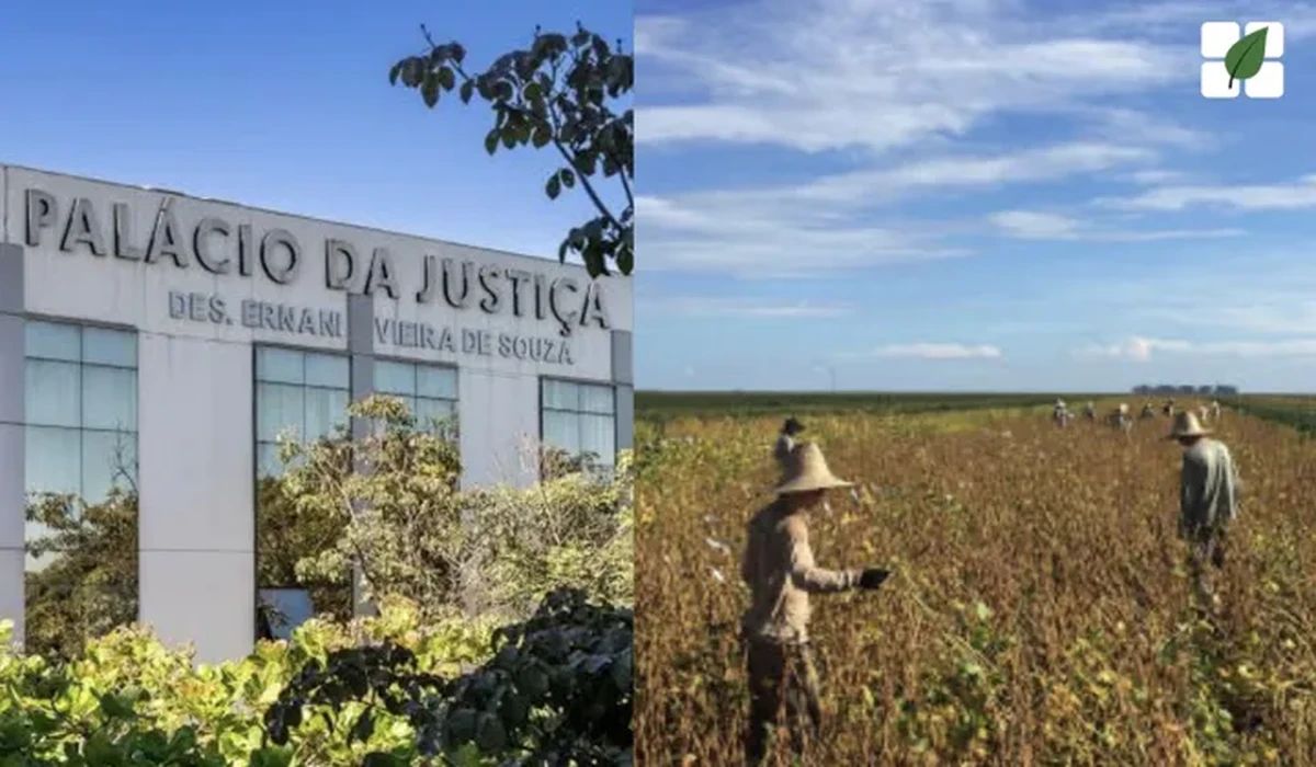 Juiz do TJMT homologa plano de RJ a Grupo com atuação no agronegócio