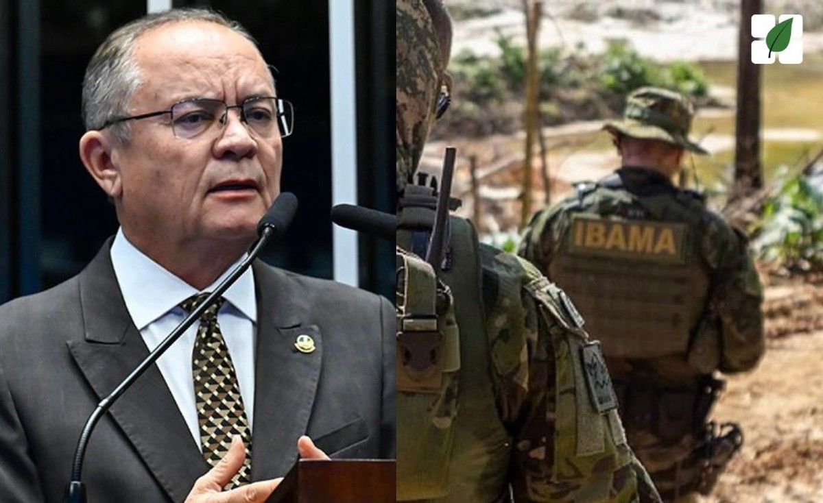 Senador critica embargo generalizado do Ibama e cobra posicionamento do Incra em defesa de produtores da Amazônia