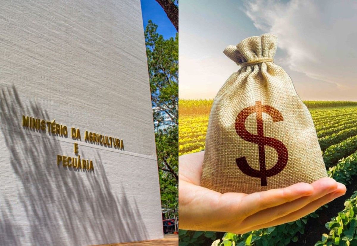 Mapa divulgou que CPRs concentram 45% do crédito do 1º semestre do Plano Safra 25/26