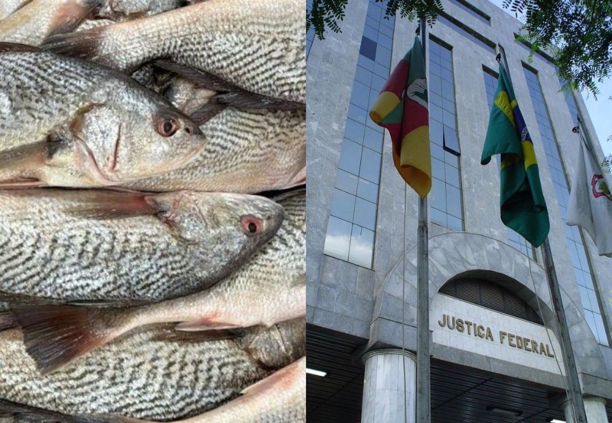 Justiça condena proprietária e mestre de embarcação a pagar R$ 50 mil por pesca ilegal no RS