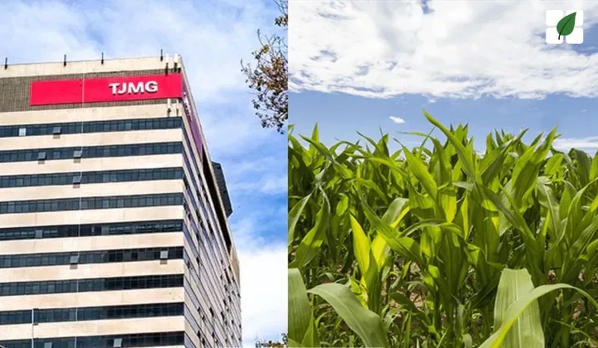 Justiça de Minas Gerais prorroga stay period por mais 180 dias e mantém suspensas execuções contra produtora rural